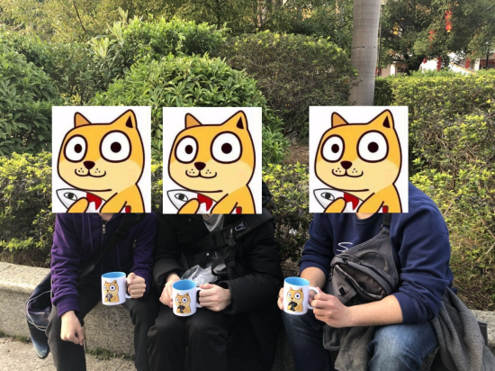 起7po比赛的获胜者